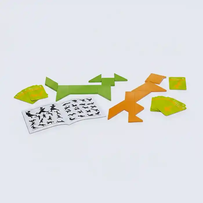 Cayro Double Tangram Jeu Éducatif Logique Enfants Qualité 5+